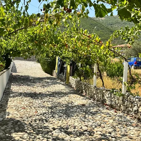 Apartment For Rent Himare