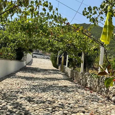 Apartment For Rent Himare